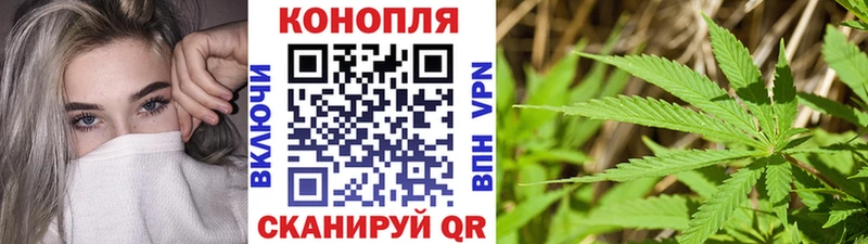 Бошки марихуана THC 21%  Людиново 